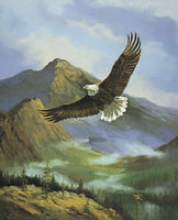 Updraughts Eagle