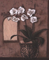 Orchid Window II