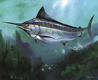 Marlin Game Fish
