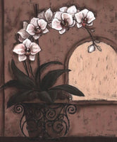 Orchid Window