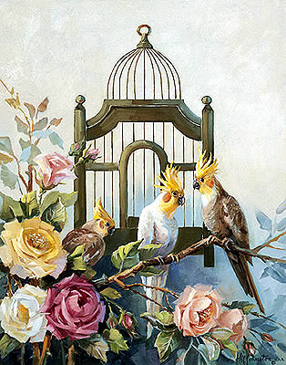 Cockatiel and Roses