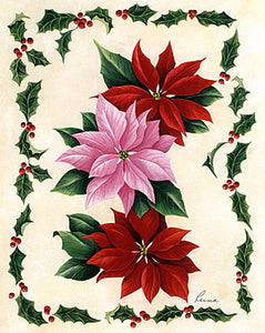 Red-Pink Poinsettias