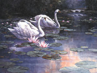 Swan & Lilies