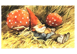 Mushroom Nap