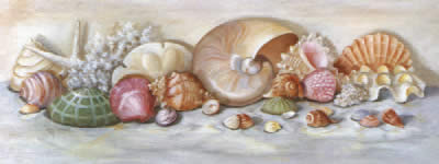 Sea Shells II