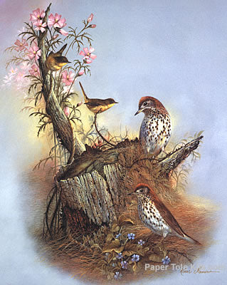 Woodland Songsters
