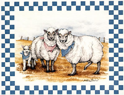 Country Sheep