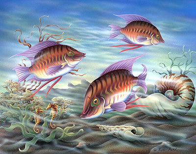 Reef Fishes I