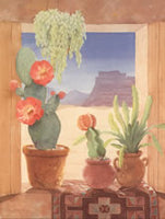 Cactus in the Window