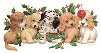 Holly Pups