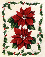 Red Poinsettias